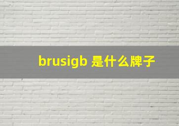 brusigb 是什么牌子